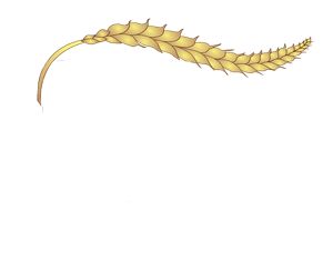 Bricks and bread